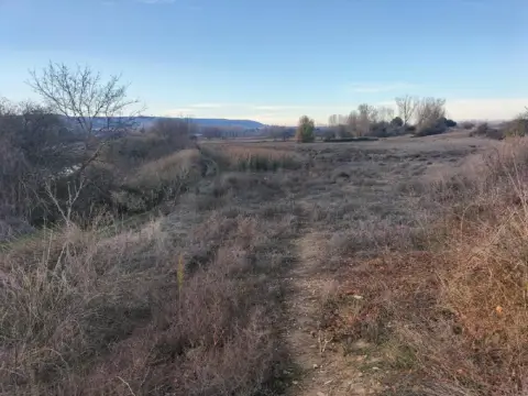 Finca rústica en Villamuriel de Cerrato